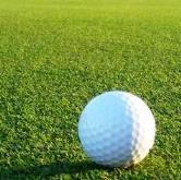 Turf Avenue Putting Greens
