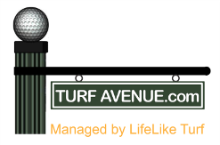 Turf Avenue